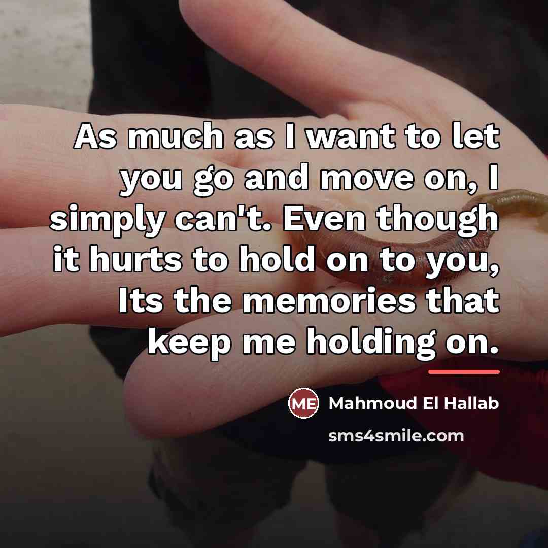 “As much as I want to let you go and…” quote by Mahmoud El Hallab