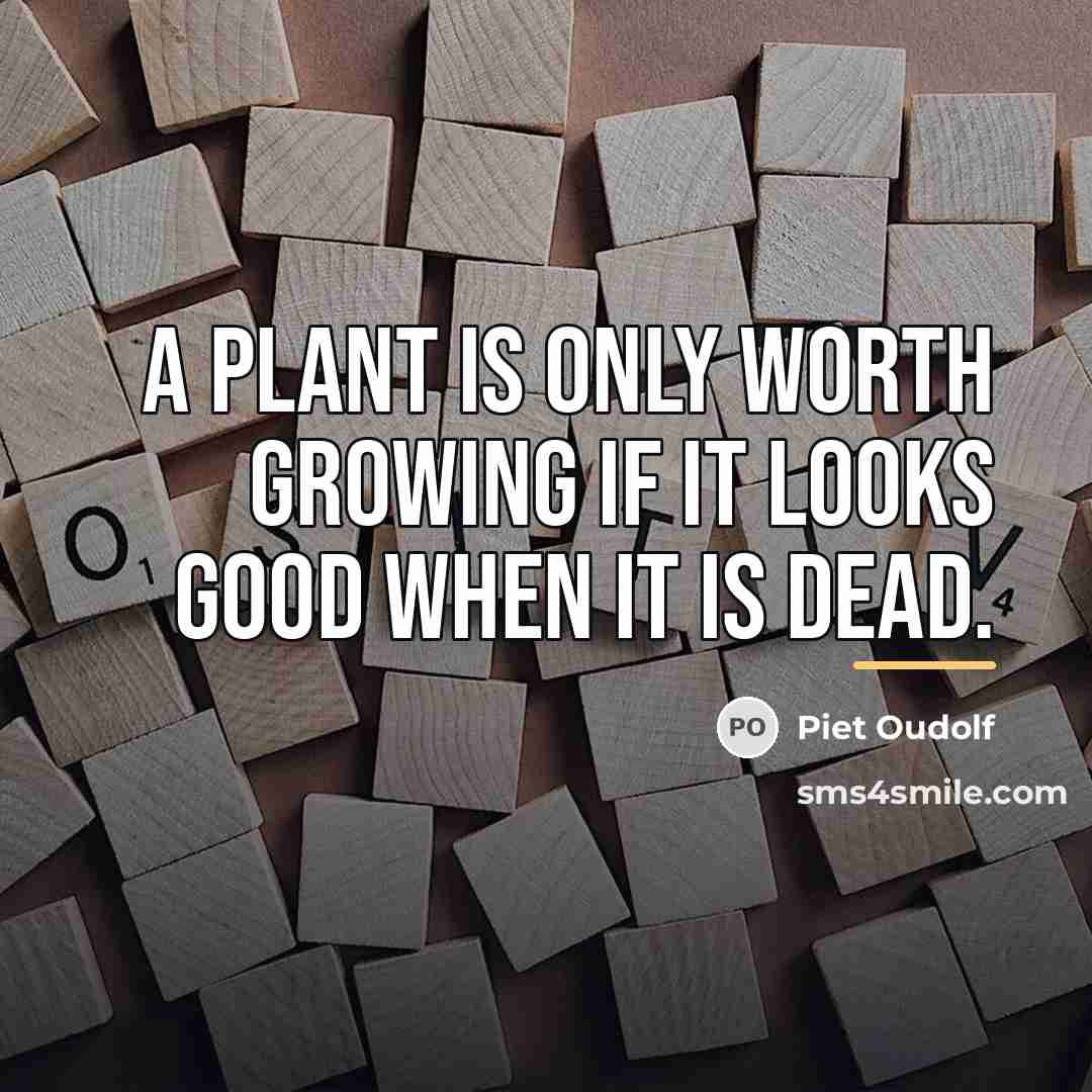 “A plant is only worth growing if it looks good…” quote by Piet Oudolf