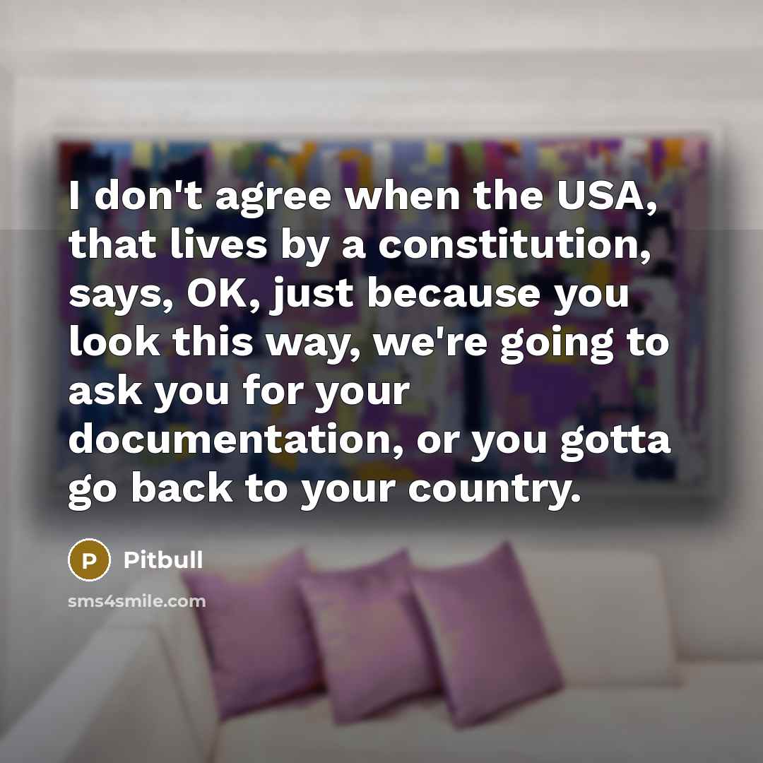 “I don't agree when the USA, that lives by a…” quote by Pitbull