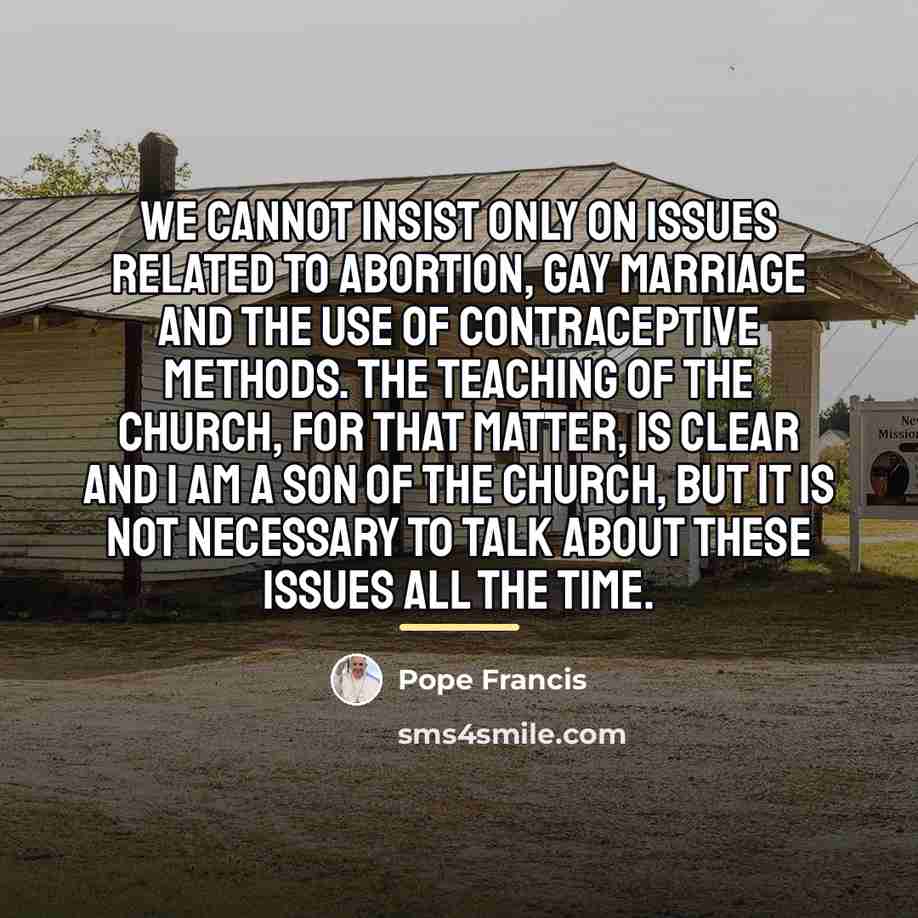 “We cannot insist only on issues related to abortion, gay…” quote by Pope Francis
