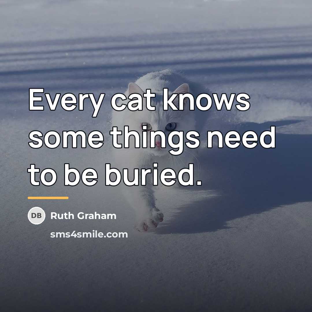 “Every cat knows some things need to be buried.…” quote by Ruth Graham