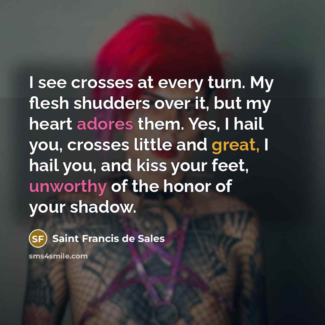 “I see crosses at every turn. My flesh shudders over…” quote by Saint Francis de Sales