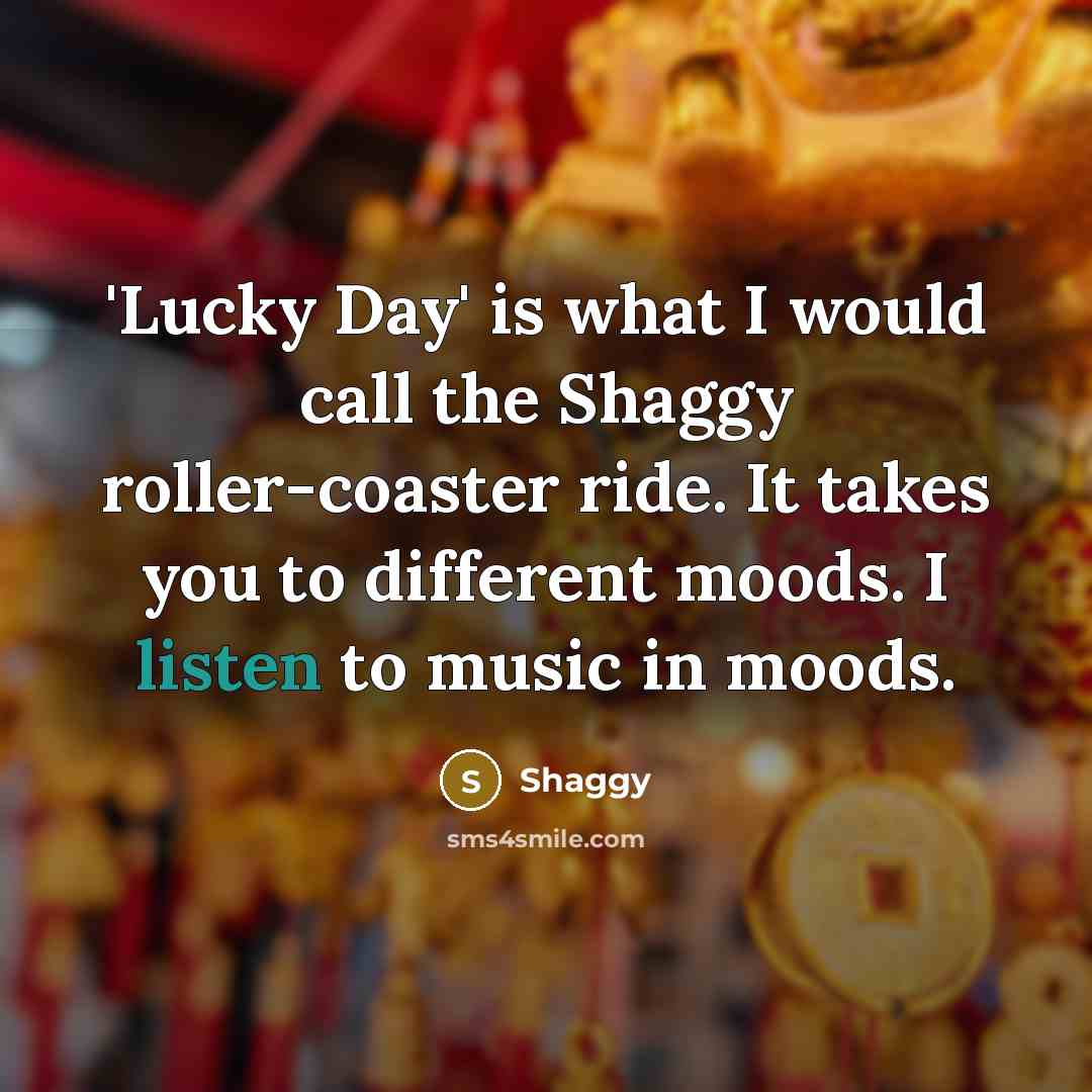 “'Lucky Day' is what I would call the Shaggy roller-coaster…” quote by Shaggy