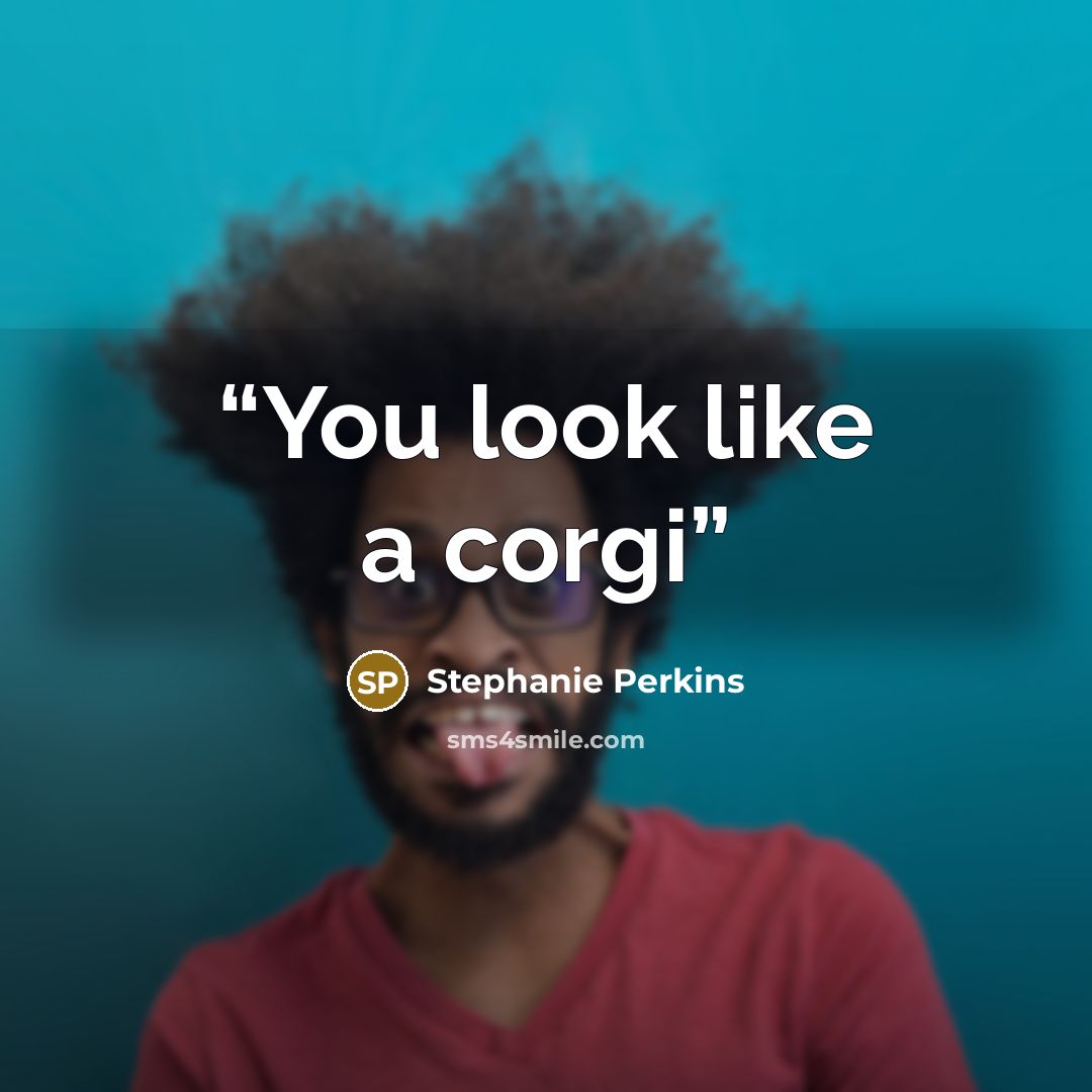 “You look like a corgi” quote by Stephanie Perkins