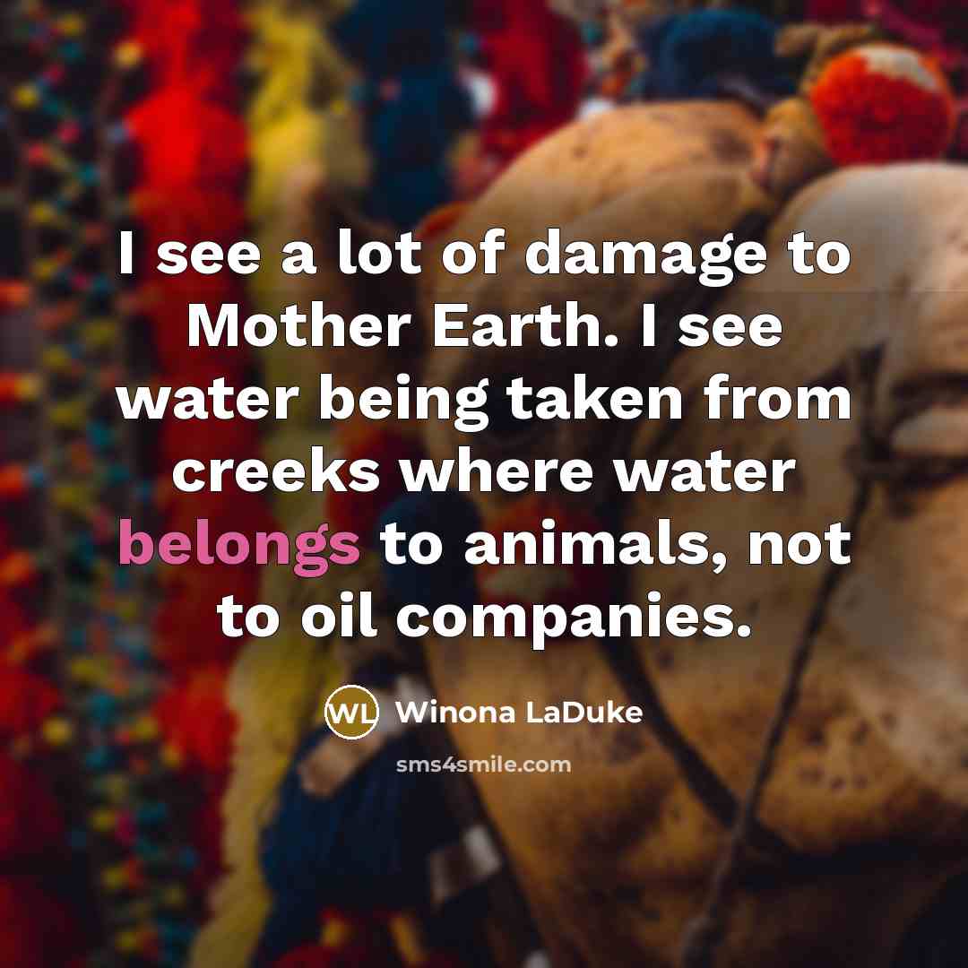 “I see a lot of damage to Mother Earth. I…” quote by Winona LaDuke