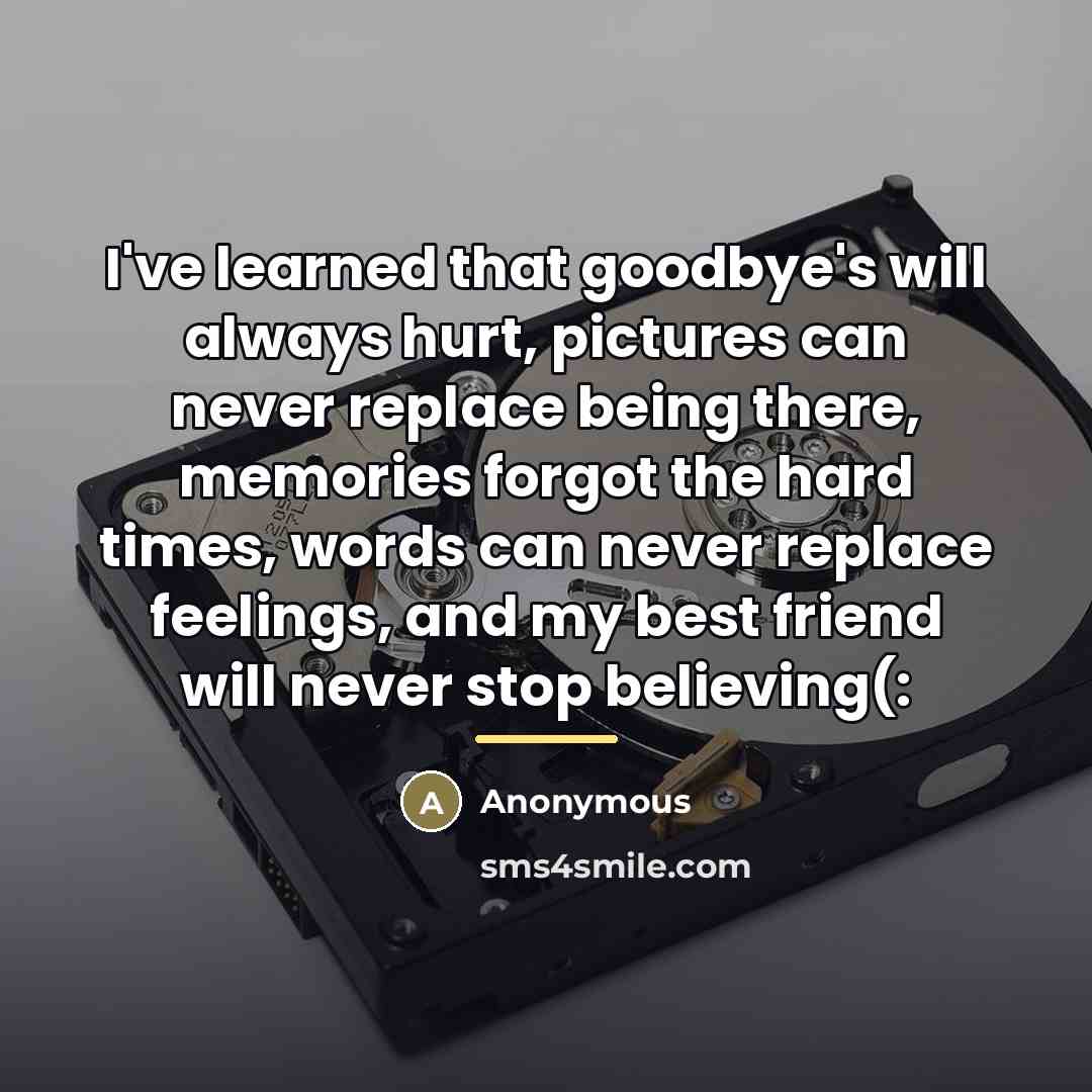 “I've learned that goodbye's will always hurt, pictures can never…” quote by Anonymous