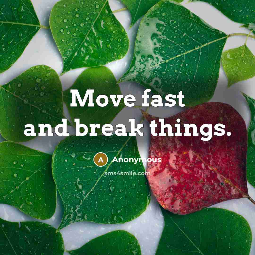 “Move fast and break things.” quote by Anonymous