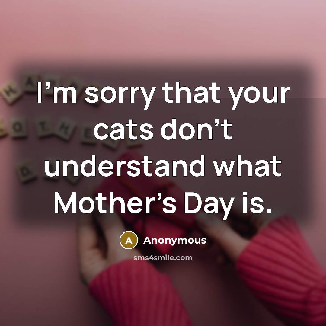 “I'm sorry that your cats don't understand what Mother's Day is.” quote by Anonymous