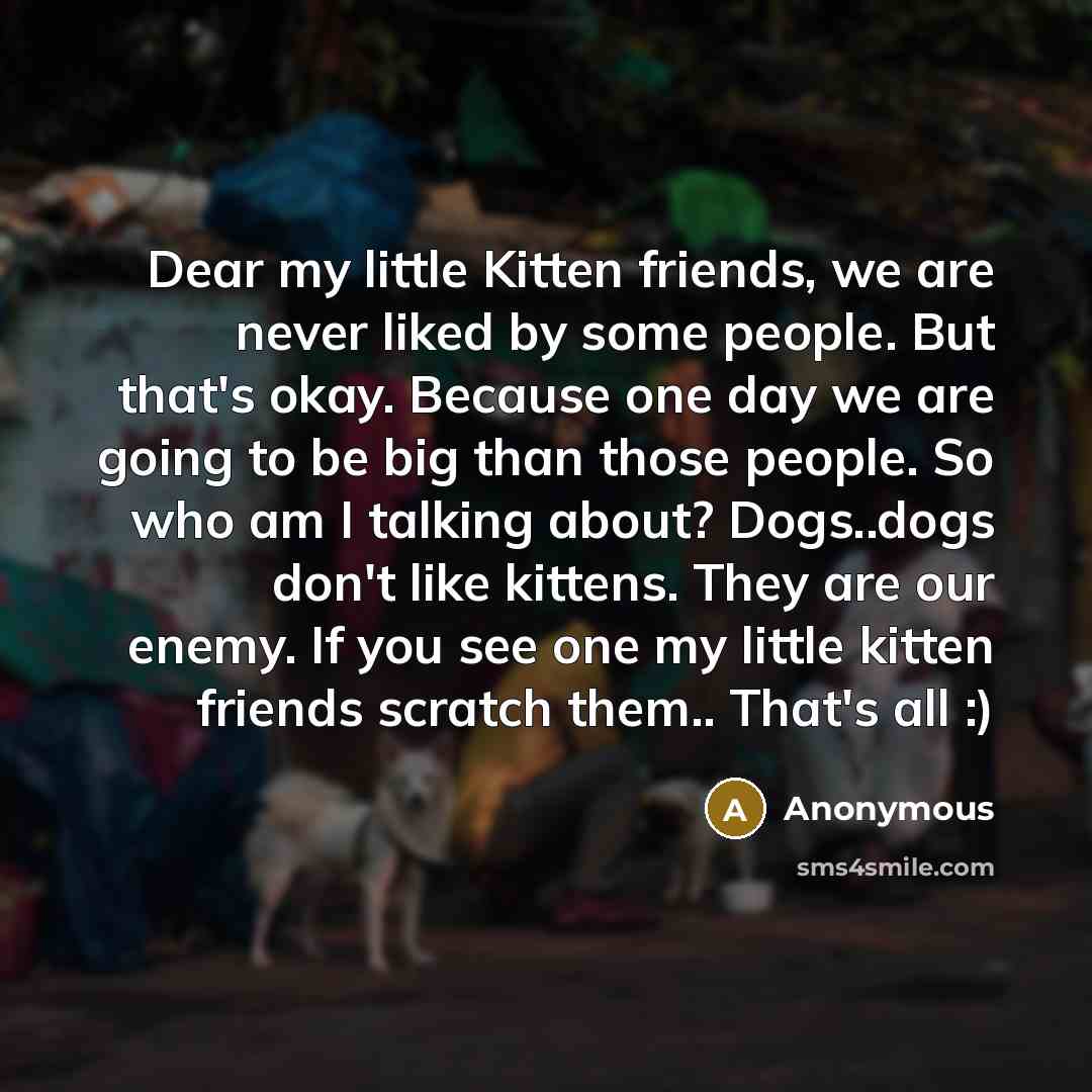 “Dear my little Kitten friends, we are never liked by some people. But that's okay. Because one day we are going to be big than those people. So who am I talking about? Dogs..dogs don't like kittens. They are our enemy. If you see one my little kitten friends scratch them.. That's all :)” quote by Anonymous