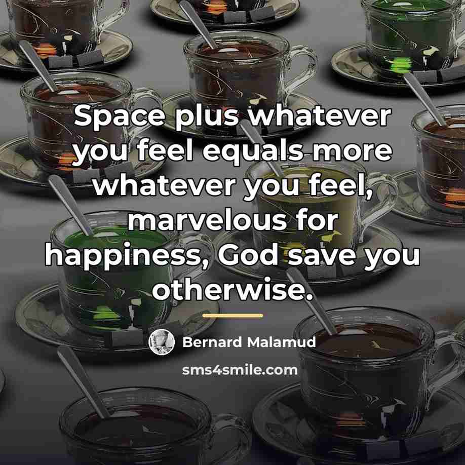 “Space plus whatever you feel equals more whatever you feel,…” quote by Bernard Malamud