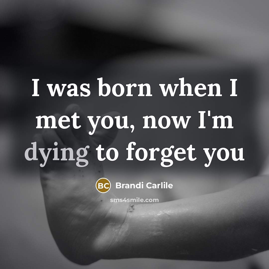 “I was born when I met you, now I'm dying…” quote by Brandi Carlile