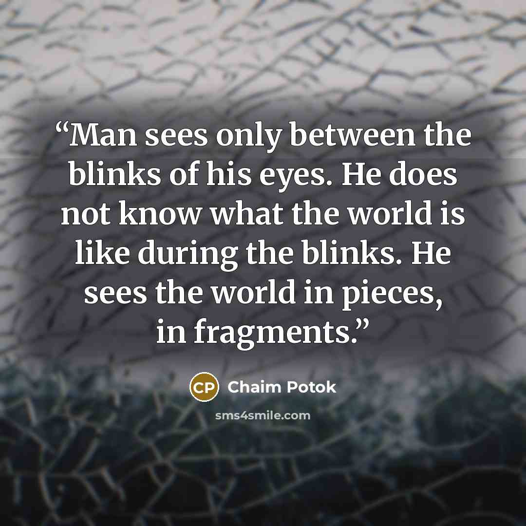 “Man sees only between the blinks of his eyes. He does not know what the world is like during the blinks. He sees the world in pieces, in fragments.” quote by Chaim Potok