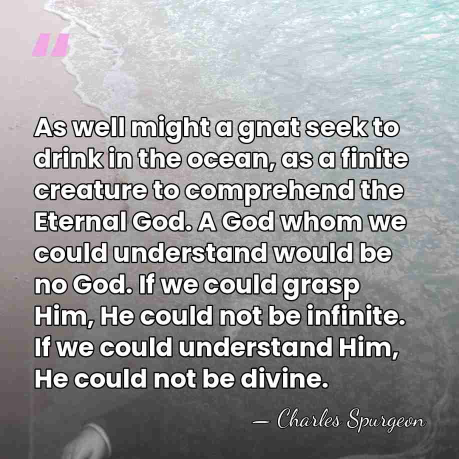 As well might a gnat seek to drink in the ocean, as&hellip; - Charles Spurgeon