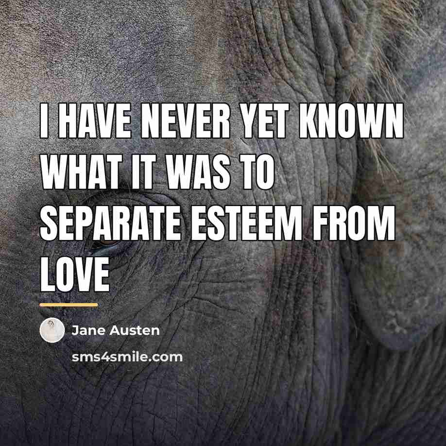 “I have never yet known what it was to separate…” quote by Jane Austen
