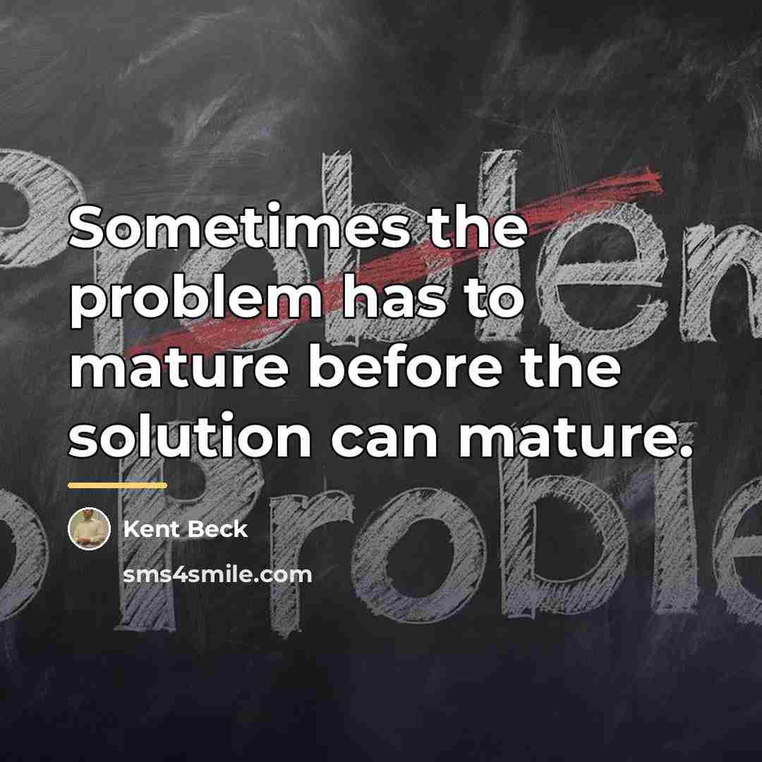 “Sometimes the problem has to mature before the solution can…” quote by Kent Beck