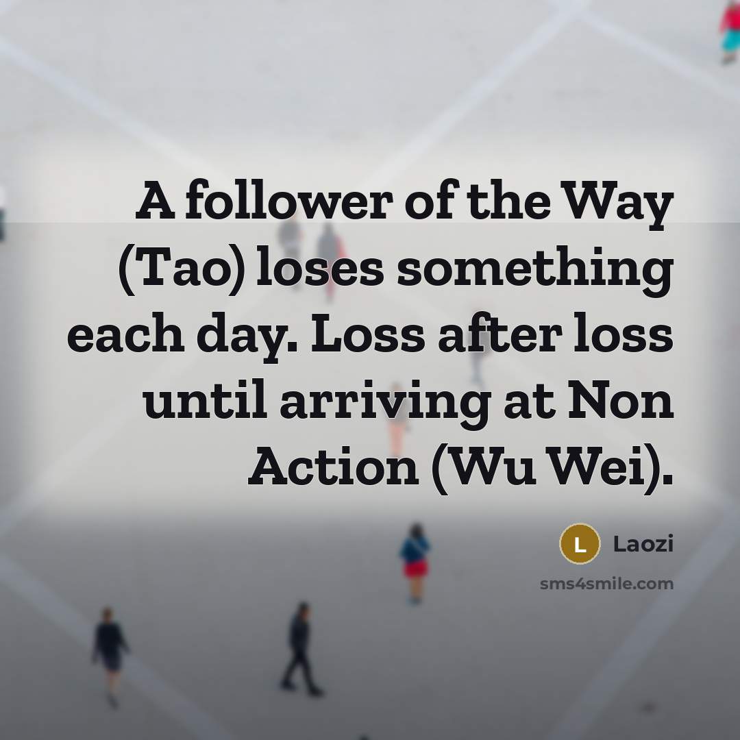 “A follower of the Way (Tao) loses something each day.…” quote by Laozi