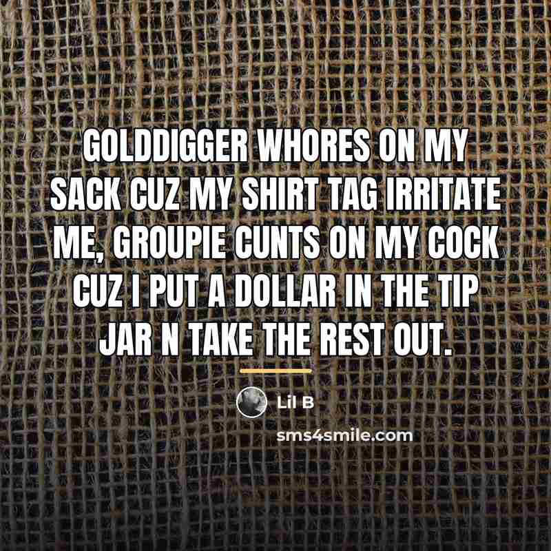 “Golddigger whores on my sack cuz my shirt tag irritate…” quote by Lil B
