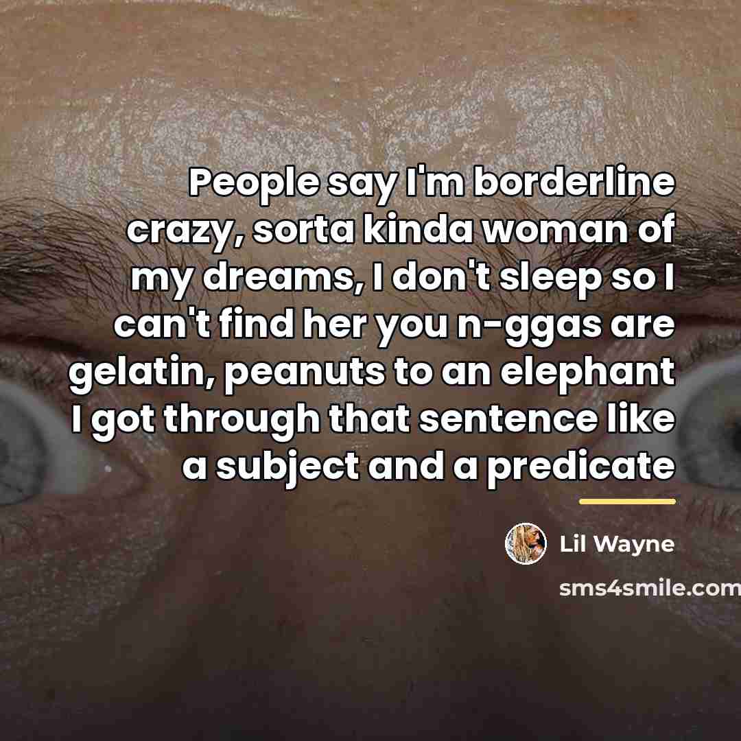 “People say I'm borderline crazy, sorta kinda woman of my…” quote by Lil Wayne