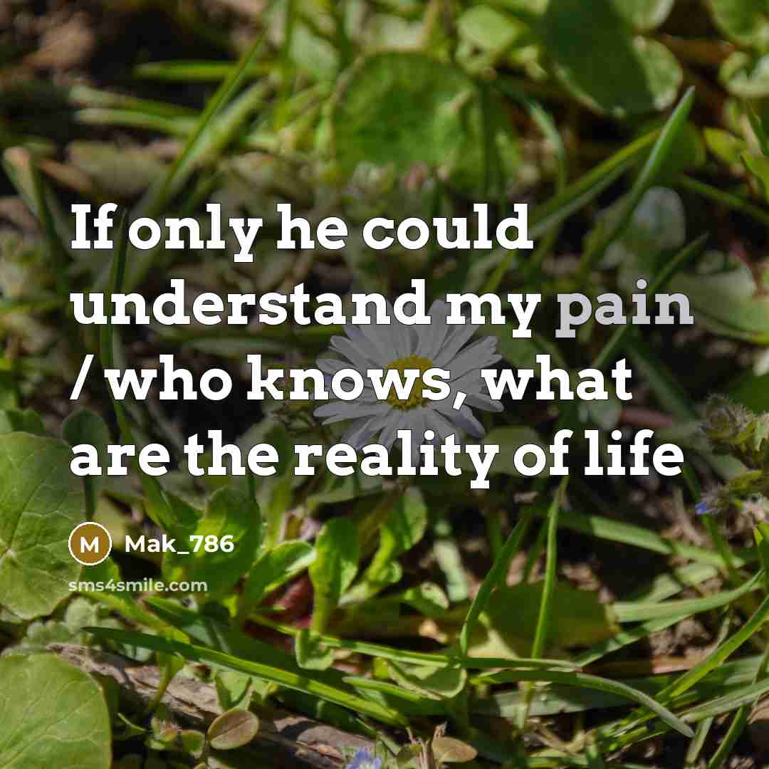 “If only he could understand my pain / who knows,…” quote by Mak_786