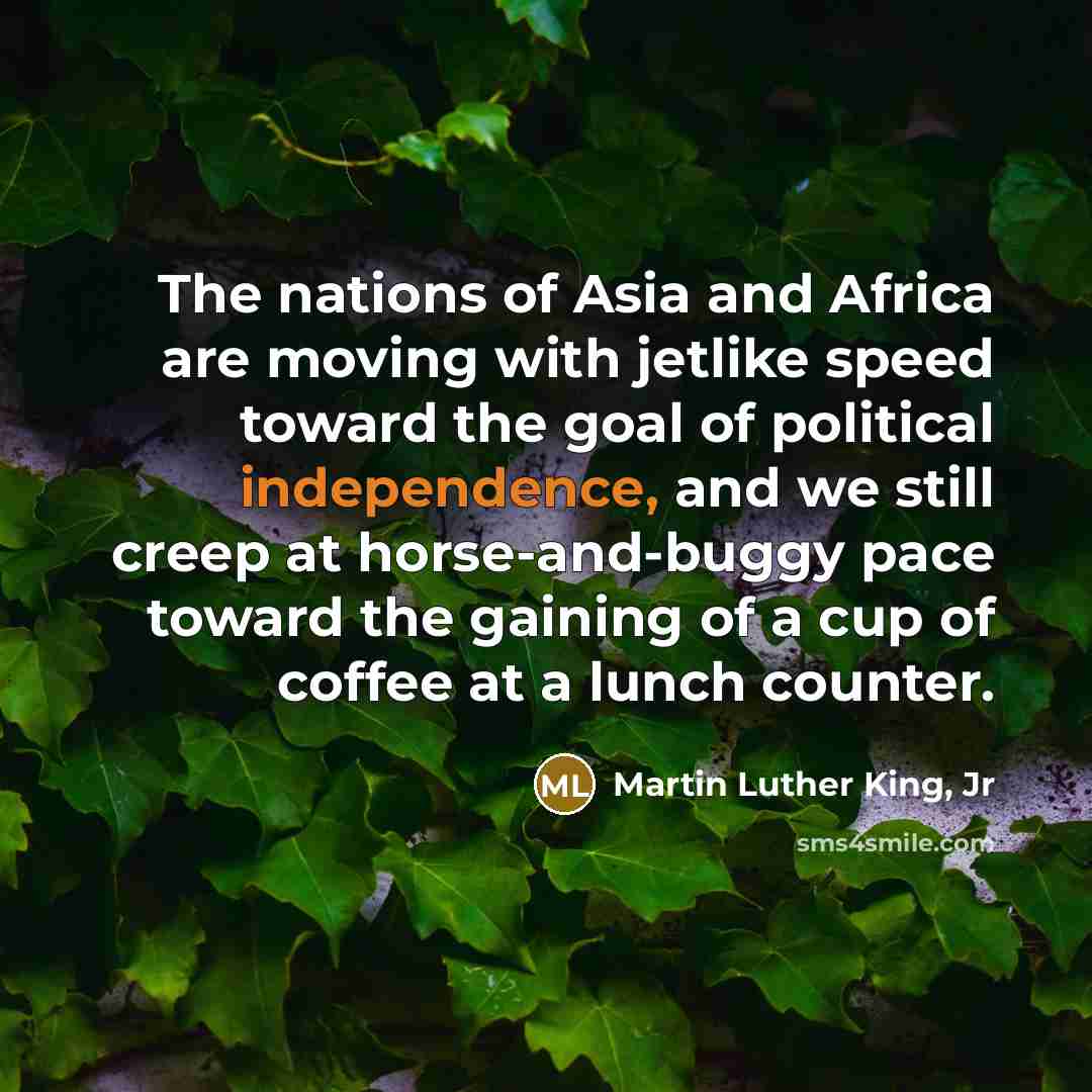 “The nations of Asia and Africa are moving with jetlike speed toward the goal of political independence, and we still creep at horse-and-buggy pace toward the gaining of a cup of coffee at a lunch counter.” quote by Martin Luther King, Jr