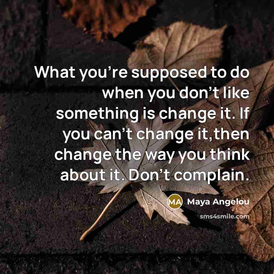 “What you're supposed to do when you don't like something…” quote by Maya Angelou