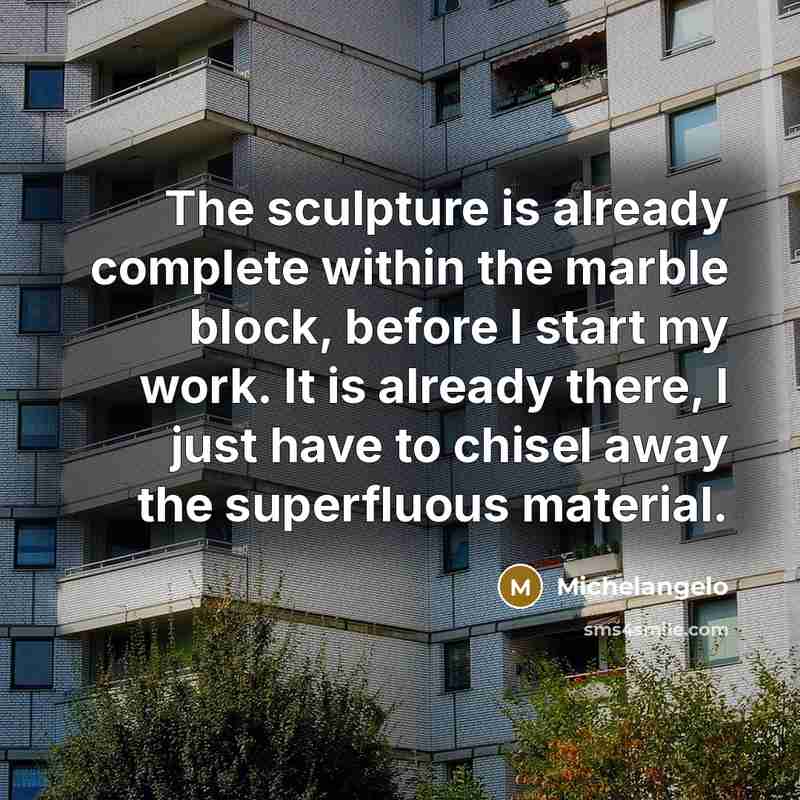 “The sculpture is already complete within the marble block, before I start my work. It is already there, I just have to chisel away the superfluous material.” quote by Michelangelo