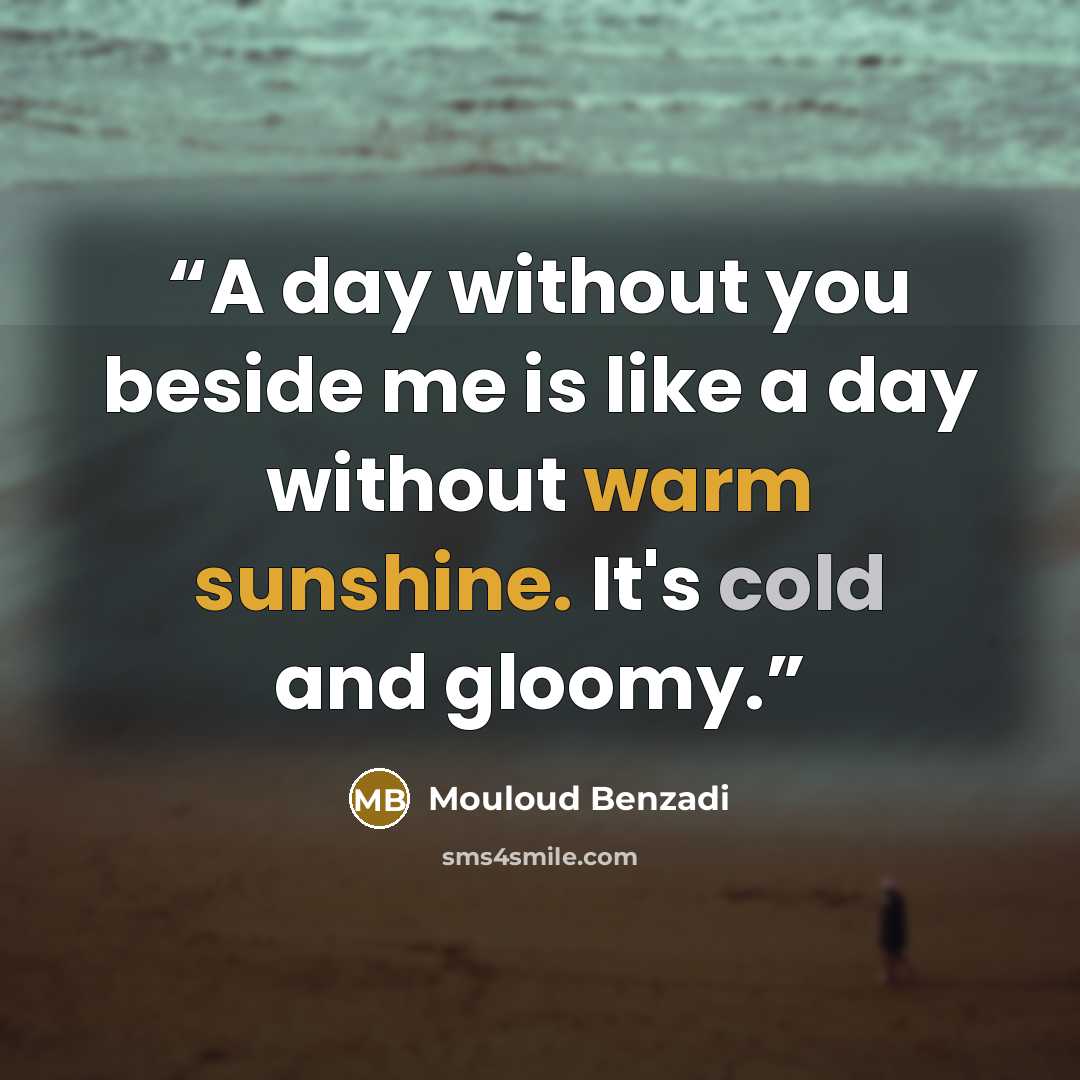 “A day without you beside me is like a day without warm sunshine. It's cold and gloomy.” quote by Mouloud Benzadi