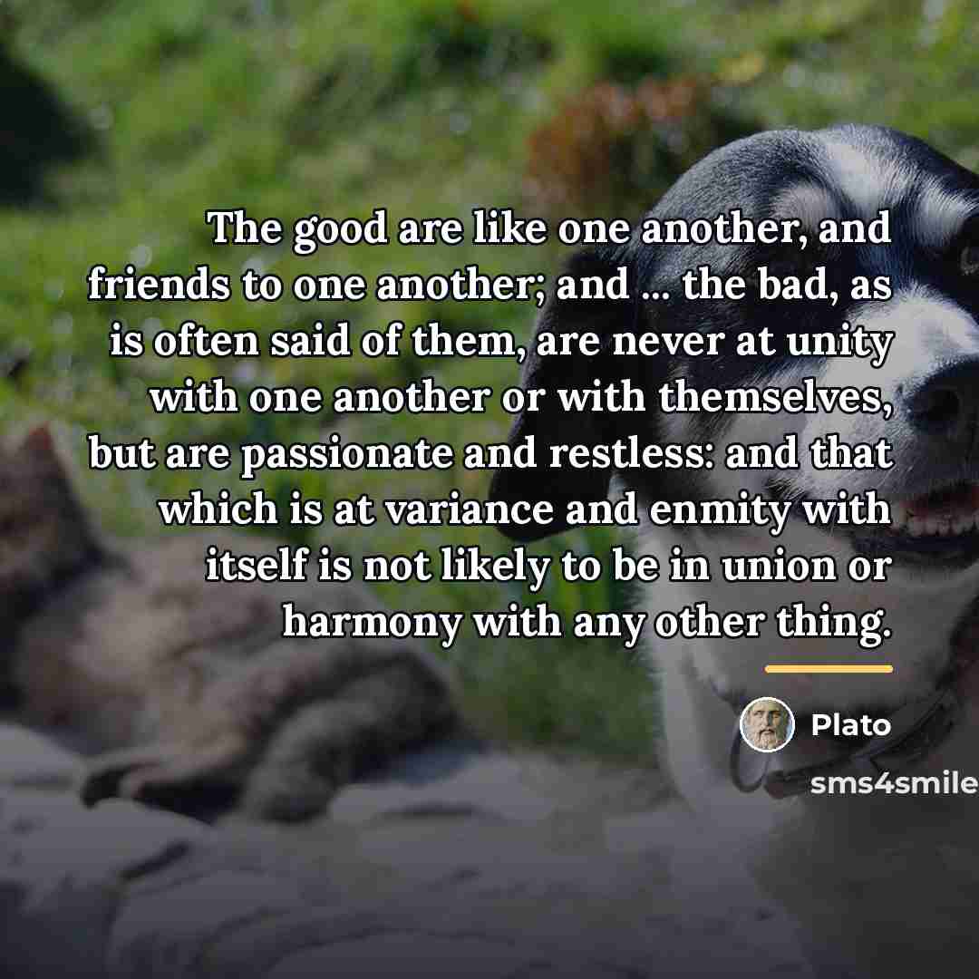 “The good are like one another, and friends to one…” quote by Plato