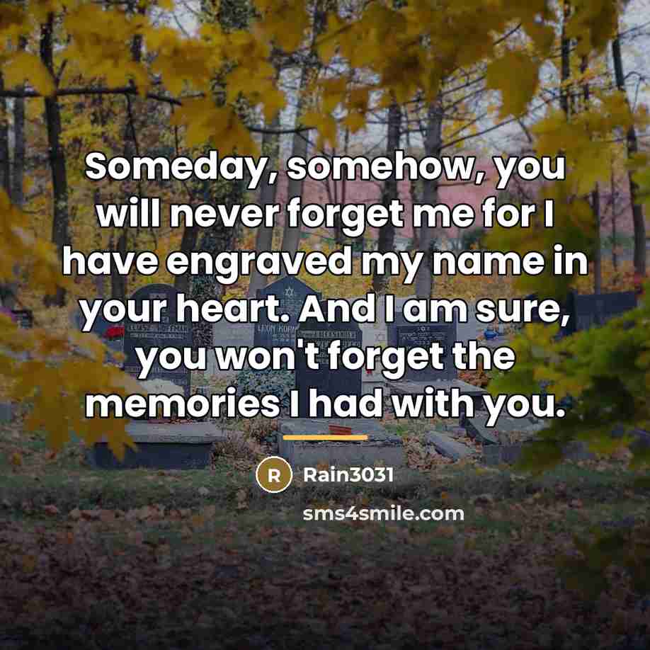 “Someday, somehow, you will never forget me for I have…” quote by Rain3031
