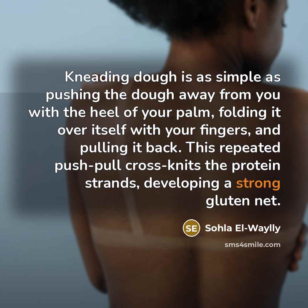 “Kneading dough is as simple as pushing the dough away…” quote by Sohla El-Waylly