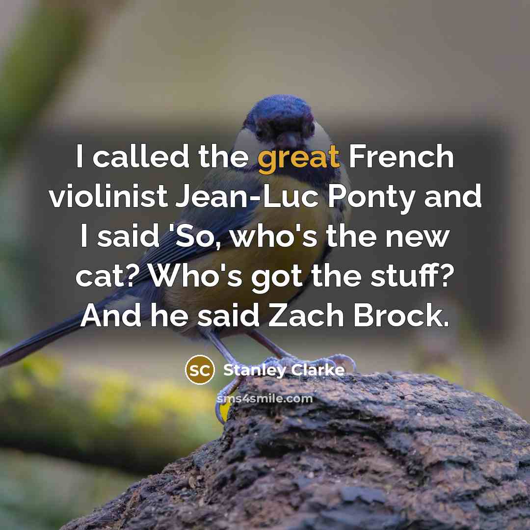 “I called the great French violinist Jean-Luc Ponty and I…” quote by Stanley Clarke