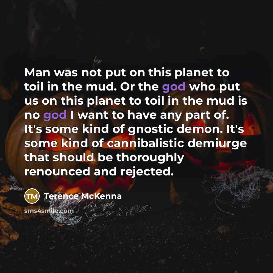 “Man was not put on this planet to toil in…” quote by Terence McKenna
