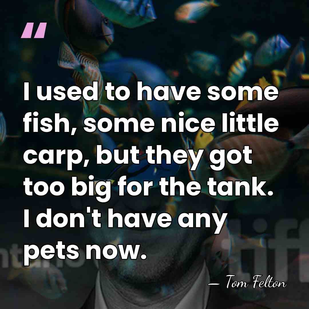 I used to have some fish, some nice little carp, but they&hellip; - Tom Felton