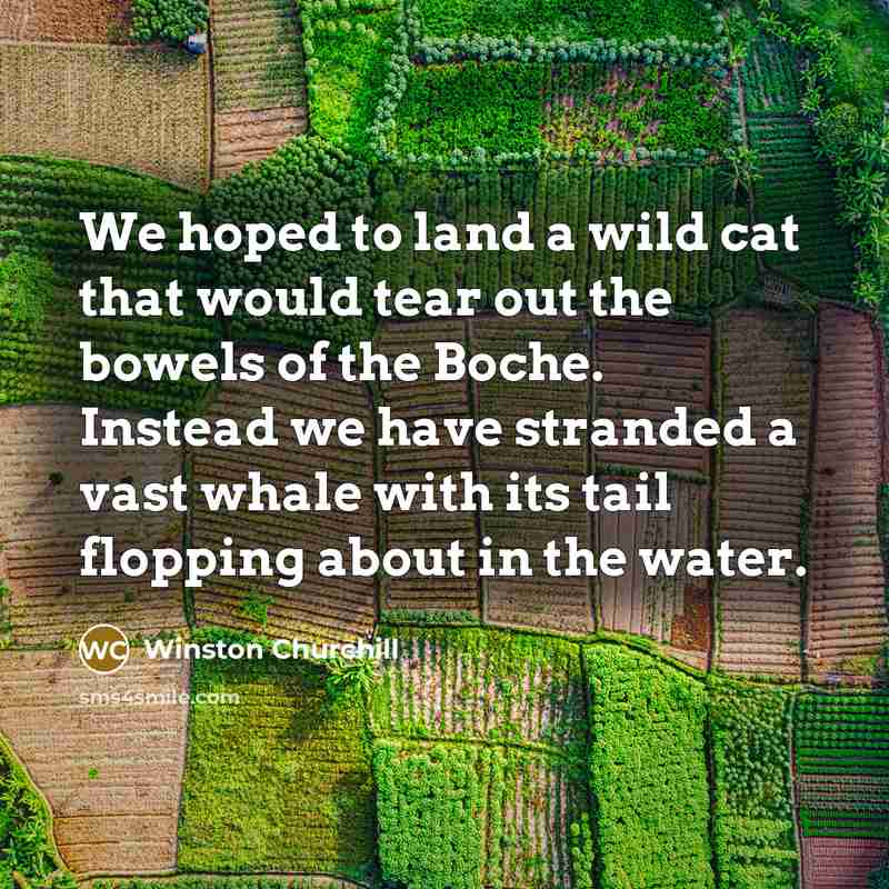 “We hoped to land a wild cat that would tear…” quote by Winston Churchill