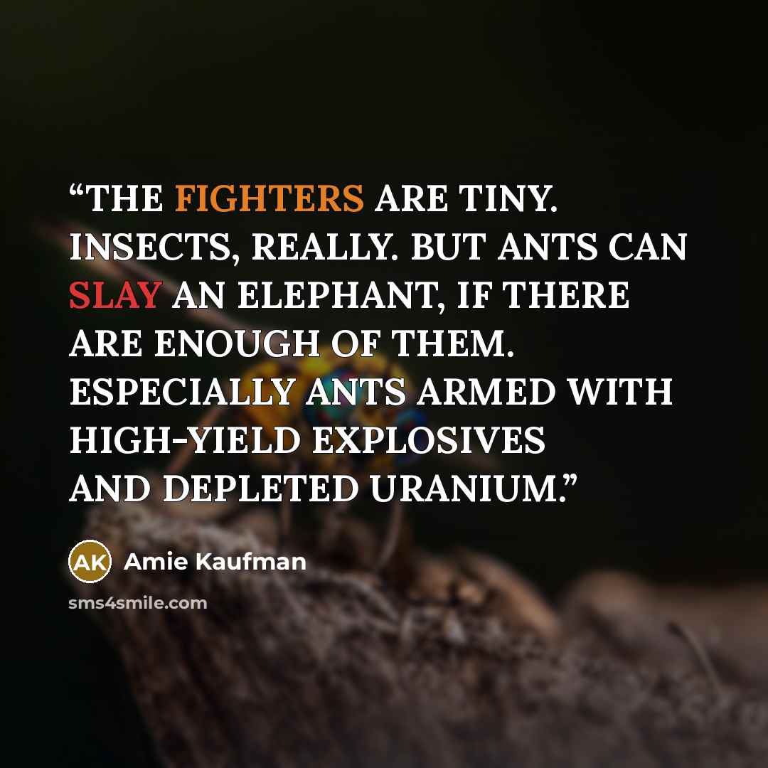 “THE FIGHTERS ARE TINY. INSECTS, REALLY. BUT ANTS CAN SLAY AN ELEPHANT, IF THERE ARE ENOUGH OF THEM. ESPECIALLY ANTS ARMED WITH HIGH-YIELD EXPLOSIVES AND DEPLETED URANIUM.” quote by Amie Kaufman