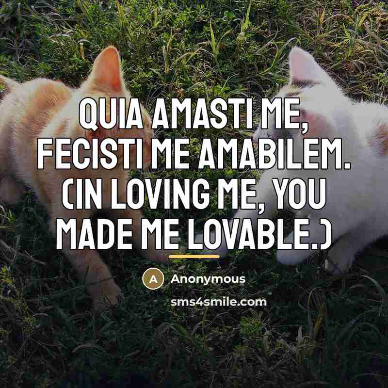 “Quia amasti me, fecisti me amabilem. (In loving me, you…” quote by Anonymous