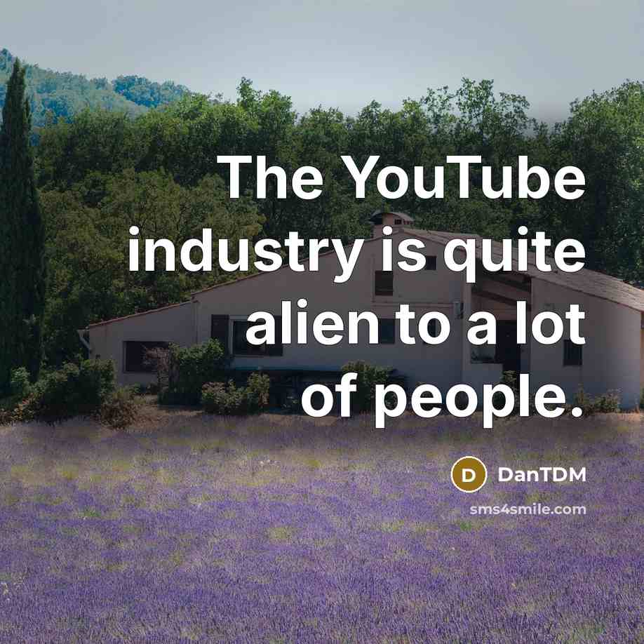 “The YouTube industry is quite alien to a lot of…” quote by DanTDM