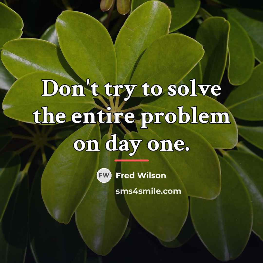 “Don't try to solve the entire problem on day one.…” quote by Fred Wilson
