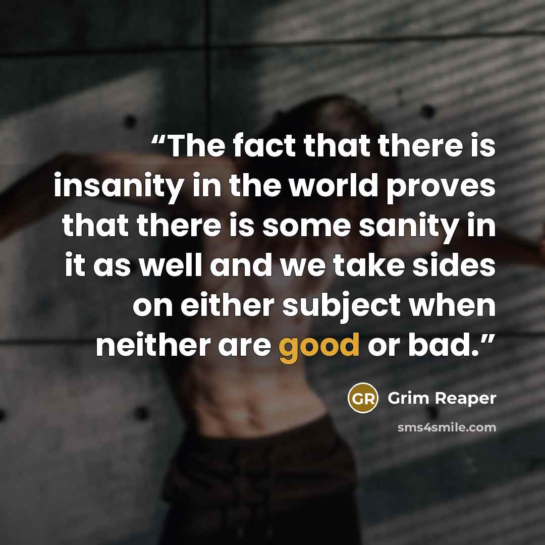 “The fact that there is insanity in the world proves that there is some sanity in it as well and we take sides on either subject when neither are good or bad.” quote by Grim Reaper