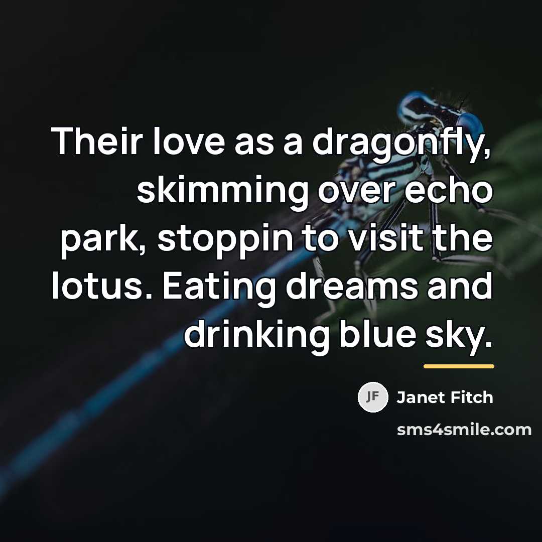 “Their love as a dragonfly, skimming over echo park, stoppin…” quote by Janet Fitch