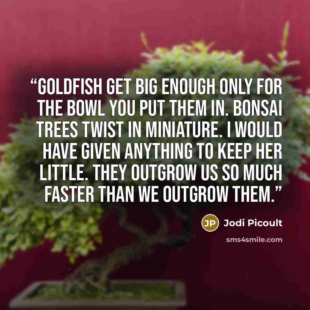“Goldfish get big enough only for the bowl you put them in. Bonsai trees twist in miniature. I would have given anything to keep her little. They outgrow us so much faster than we outgrow them.” quote by Jodi Picoult