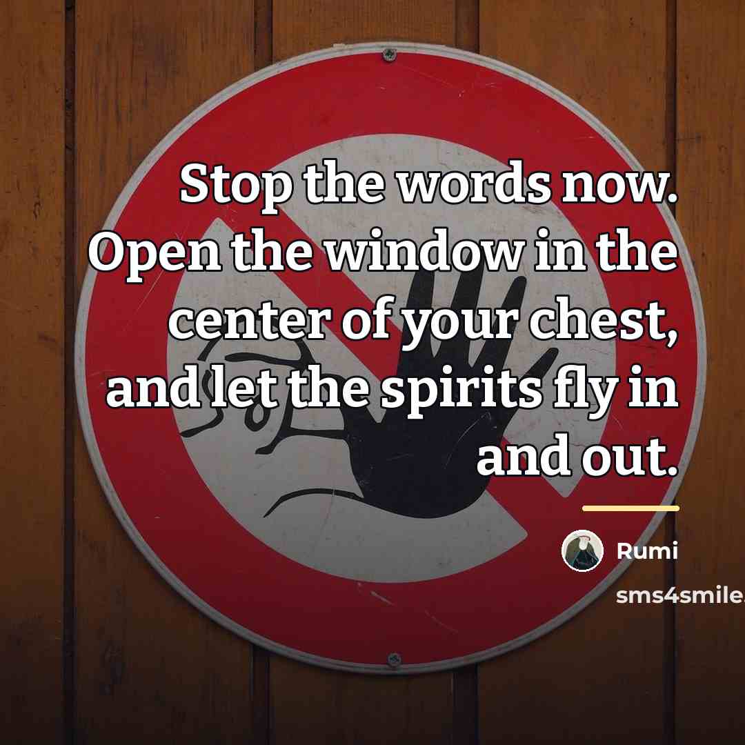 “Stop the words now. Open the window in the center…” quote by Rumi