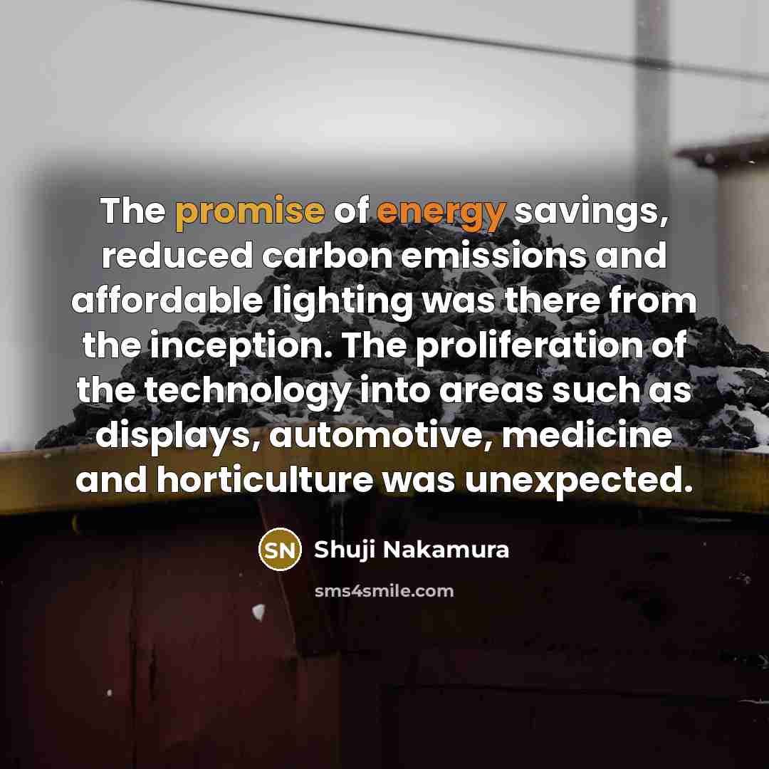 “The promise of energy savings, reduced carbon emissions and affordable…” quote by Shuji Nakamura
