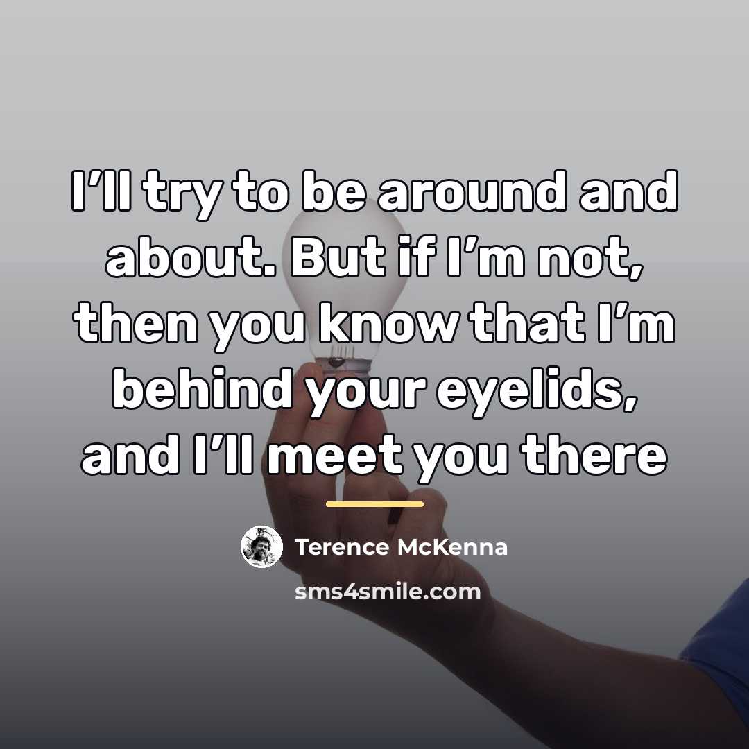 “I’ll try to be around and about. But if I’m…” quote by Terence McKenna