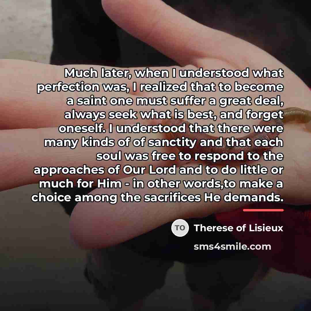 “Much later, when I understood what perfection was, I realized…” quote by Therese of Lisieux