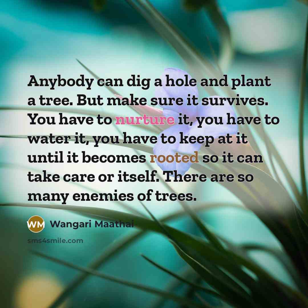 “Anybody can dig a hole and plant a tree. But…” quote by Wangari Maathai