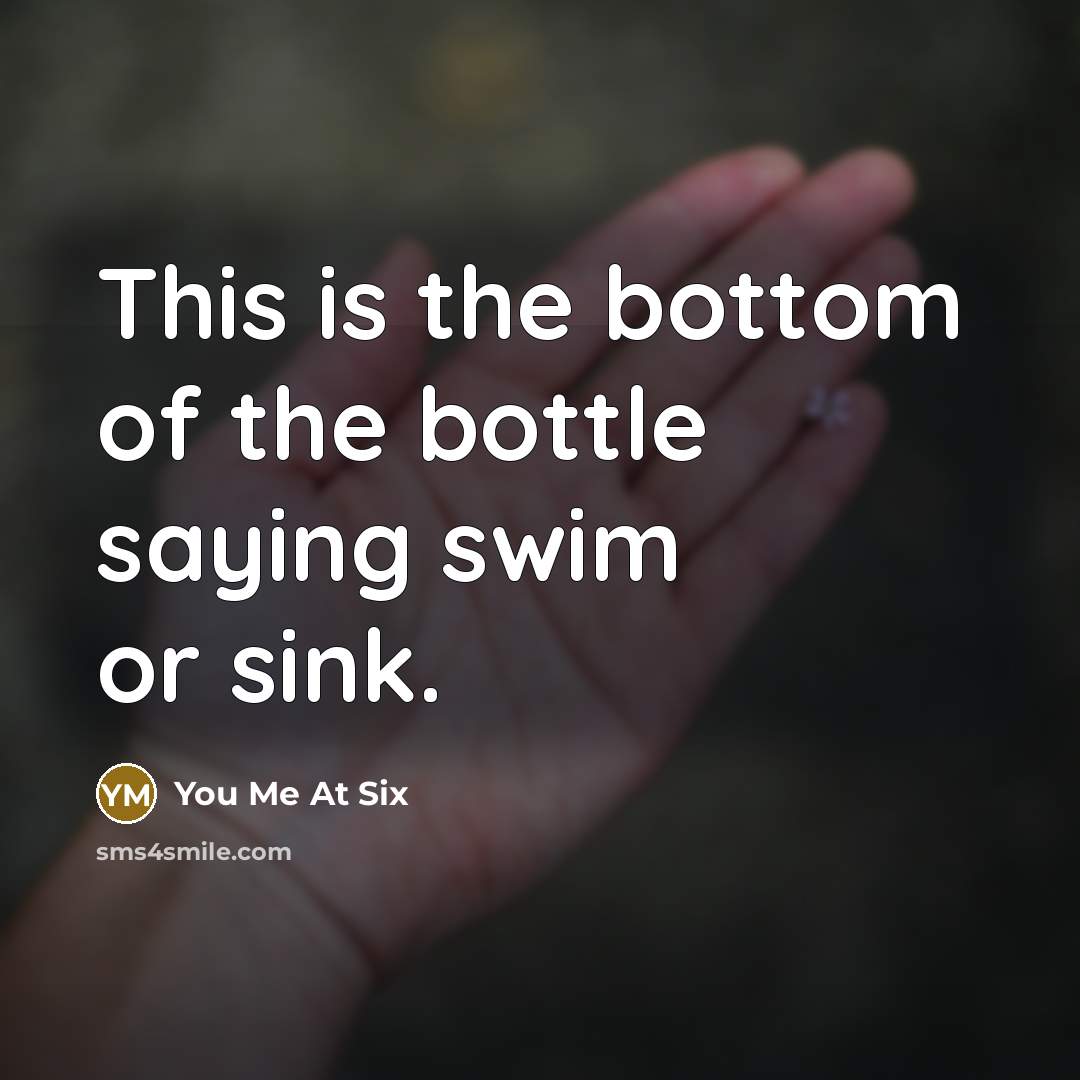 “This is the bottom of the bottle saying swim or sink.” quote by You Me At Six