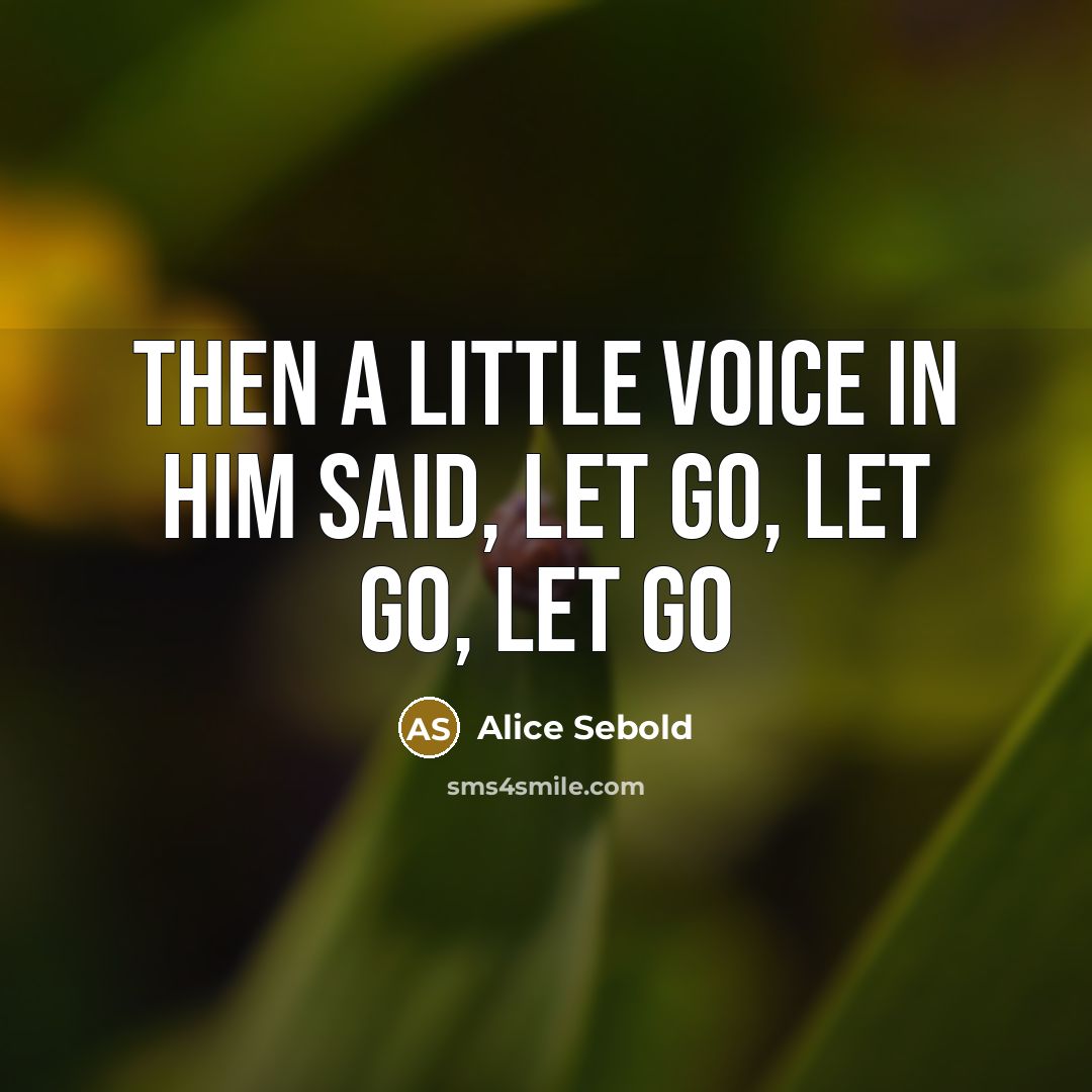“Then a little voice in him said, Let go, let…” quote by Alice Sebold