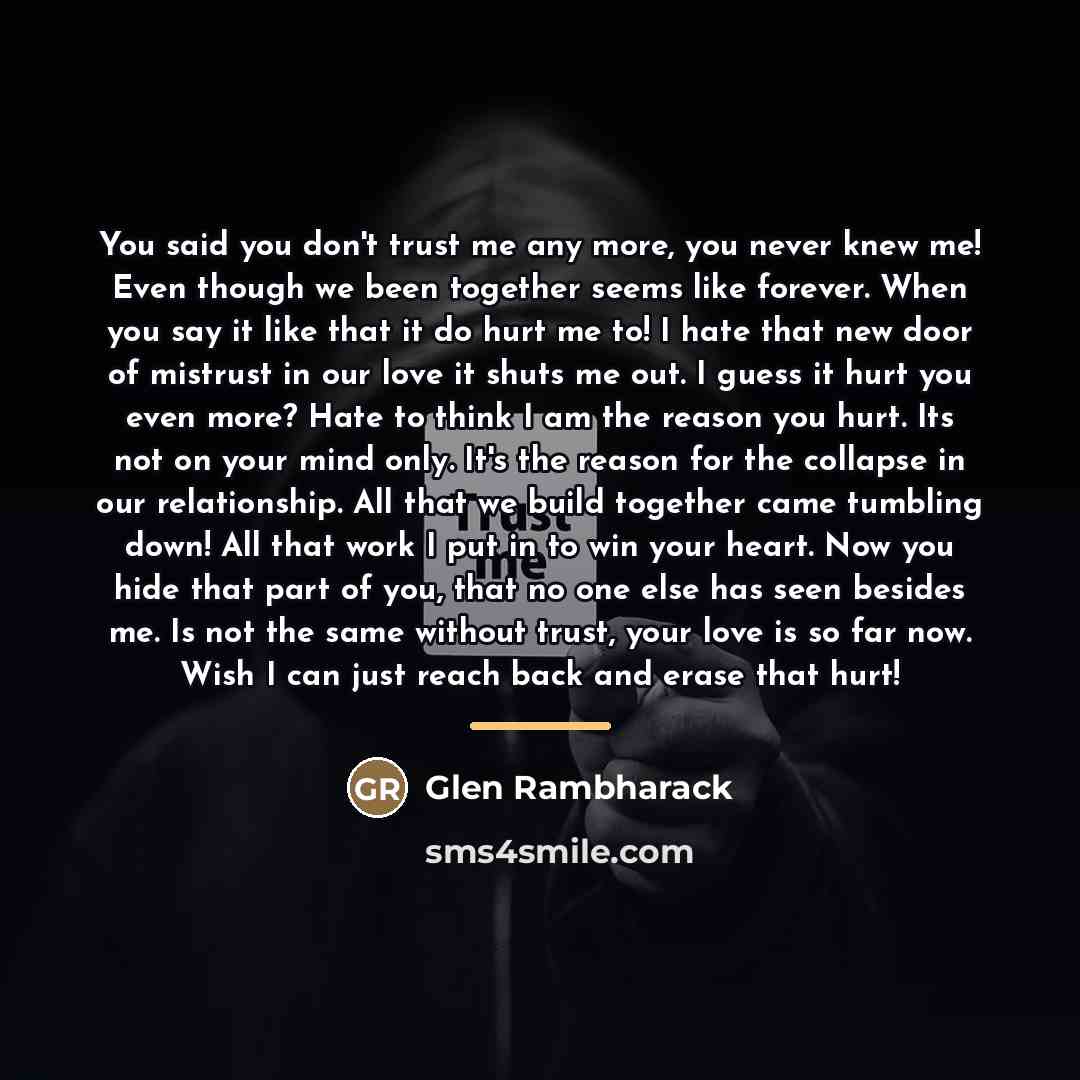 “You said you don't trust me any more, you never…” quote by Glen Rambharack