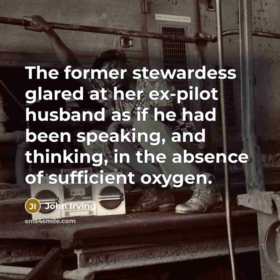 “The former stewardess glared at her ex-pilot husband as if…” quote by John Irving